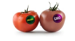 organic-gmo1